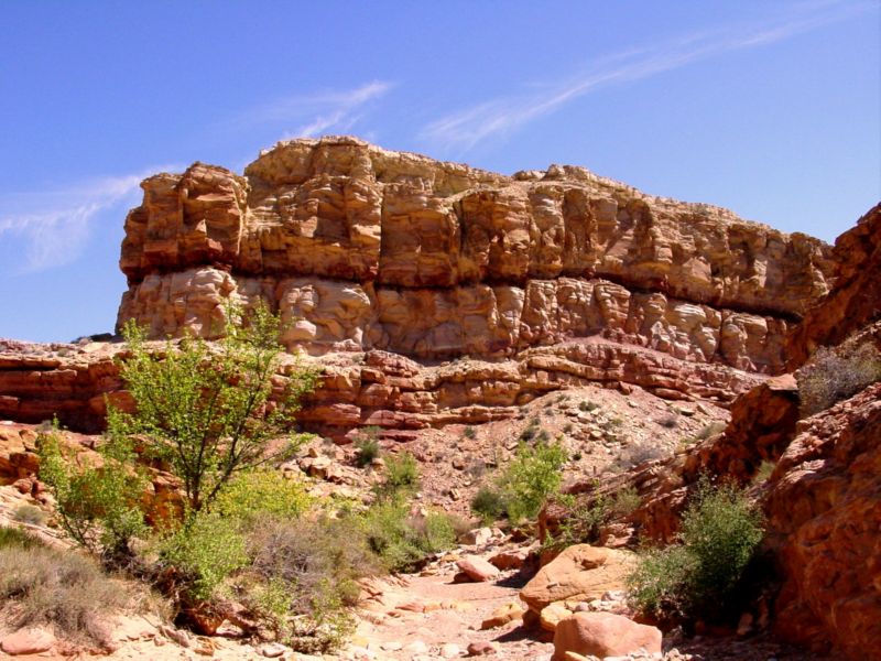 04160302LittleWildHorse (1012)